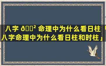 八字 🌲 命理中为什么看日柱「八字命理中为什么看日柱和时柱」